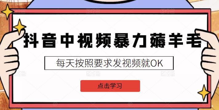 2022抖音中视频暴力薅羊毛白嫖项目：新号每天20块，老号几天几百块，可多号￼-鼎誉项目网
