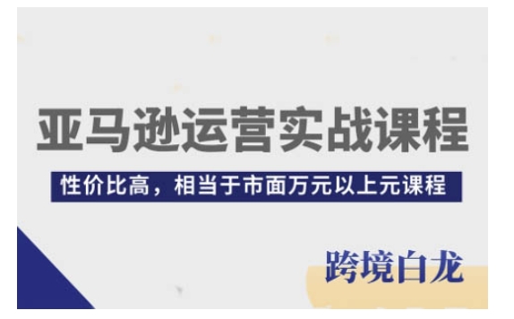 亚马逊运营实战课程，亚马逊从入门到精通，性价比高，相当于市面万元以上元课程-鼎誉项目网