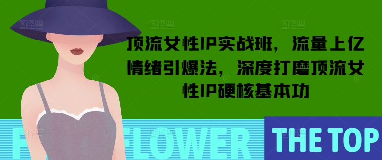 顶流女性IP实战班，流量上亿情绪引爆法，深度打磨顶流女性IP硬核基本功-鼎誉项目网