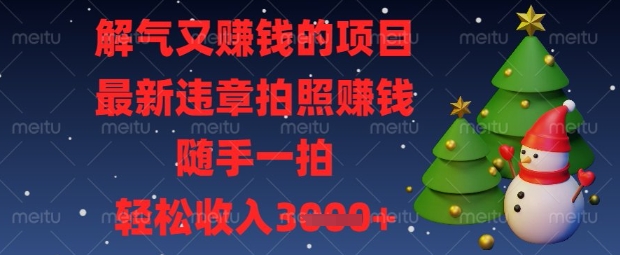 解气又挣钱的项目，最新违章拍照挣钱，随手一拍，轻松收入数张【揭秘】-鼎誉项目网
