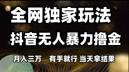 全网独家玩法抖音无人暴力撸金，月入3W，有手就行，当天拿结果【揭秘】-鼎誉项目网