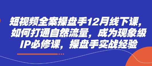 短视频全案操盘手12月线下课，如何打通自然流量，成为现象级IP必修课，操盘手实战经验-鼎誉项目网