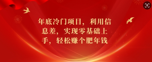 年底冷门项目，利用信息差，实现零基础上手，轻松赚个肥年钱【揭秘】-鼎誉项目网