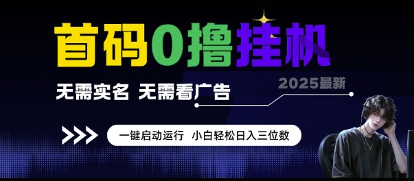 首码0撸挂G项目，无需实名无需看广告 一键启动运行，小白轻松日入三位数【揭秘】-鼎誉项目网