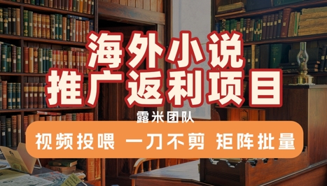 海外小说推广返利项目，视频投喂， 一刀不剪，矩阵批量-鼎誉项目网
