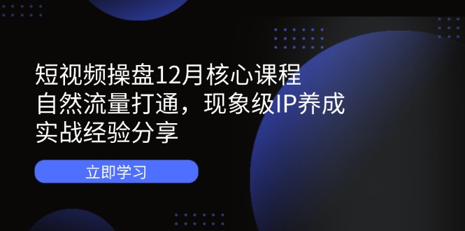 短视频操盘12月核心课程：自然流量打通，现象级IP养成，实战经验分享-鼎誉项目网