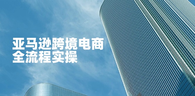 亚马逊跨境电商全流程实操，教你从零开始，掌握店铺运营与广告技巧-鼎誉项目网