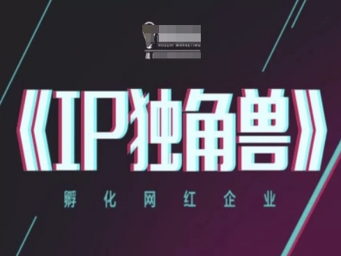IP独角兽，孵化网红企业，ip教程-鼎誉项目网