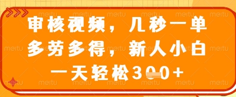 审核视频，几秒一单，多劳多得，新人小白一天轻松3张【揭秘】-鼎誉项目网