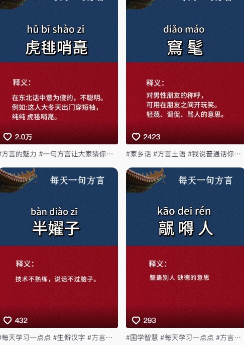 抖音最新涨粉玩法，图文方言暴力涨粉实操，126作品涨粉11W-鼎誉项目网
