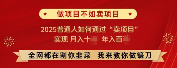 必看，做项目不如卖项目，2025普通人如何通过“卖项目”实现月入十个，年入百个-鼎誉项目网