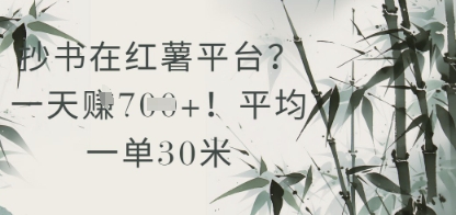 抄书在小红薯平台？平均一单30米，一天收益几张！-鼎誉项目网