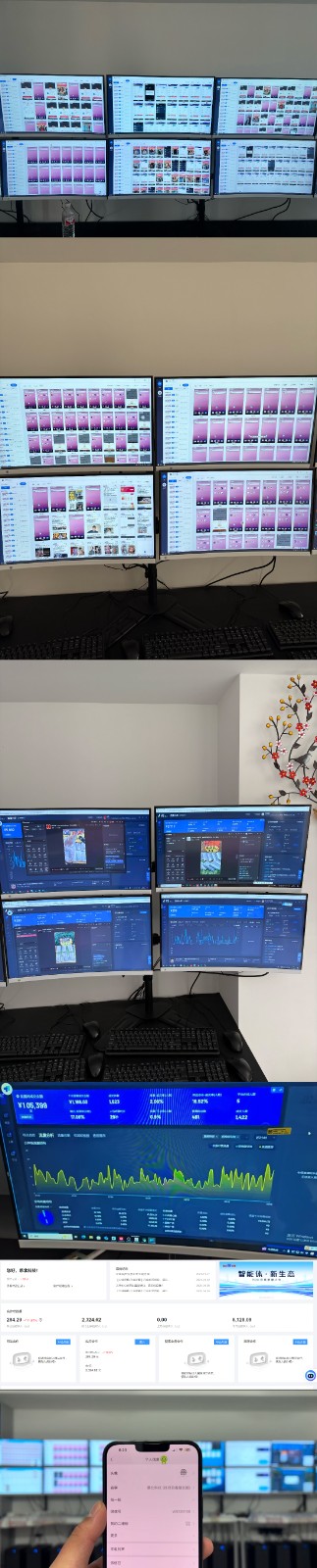 实操项目合集 挂机类型 直播类型 轻资产创业类型 课程分享各项目介绍和原理-鼎誉项目网