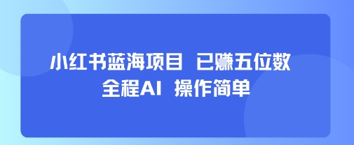 小红书蓝海项目，全程AI，操作简单，已挣五位数-鼎誉项目网