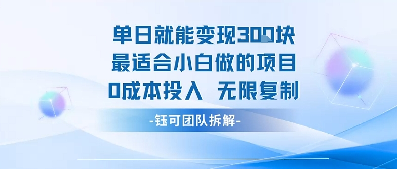 单日就能变现3张最适合小白做的项目0成本投入 无限复制-鼎誉项目网