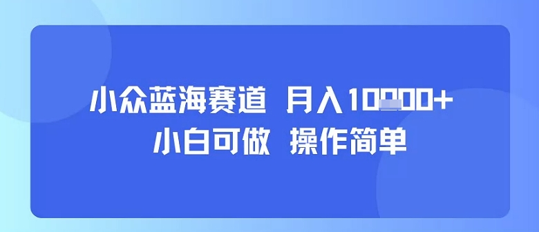 小众蓝海赛道，小白可做，操作简单，每天30分钟，月入1W+-鼎誉项目网
