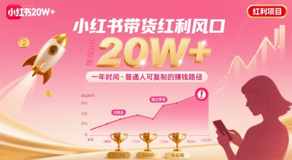 一年时间靠小红书带货项目年入20w+,最不能错的大红利项目