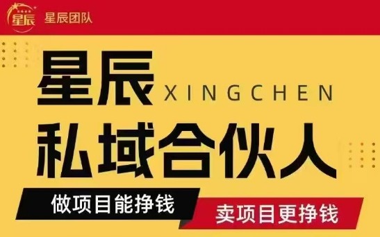 全网首发星辰私域项目合集，最新实操玩法，短期快速实现变现-鼎誉项目网