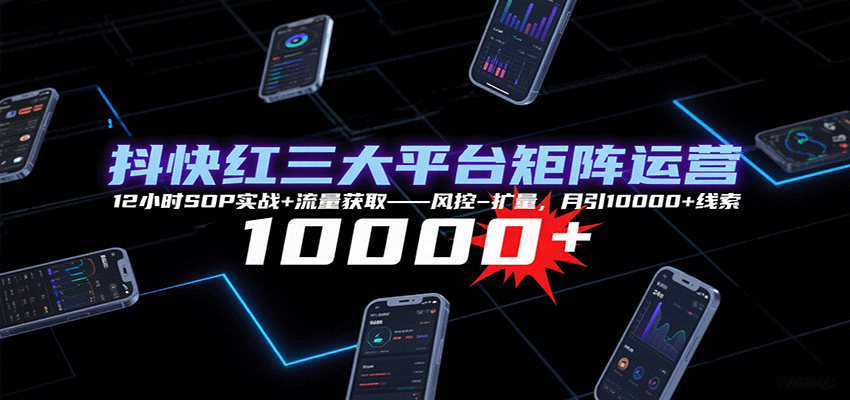 抖快红三大平台矩阵运营，12小时SOP实战+流量获取-风控-扩量，月引10000+线索-鼎誉项目网