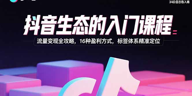 抖音生态的入门课程：流量变现全攻略，16种盈利方式，标签体系精准定位-鼎誉项目网