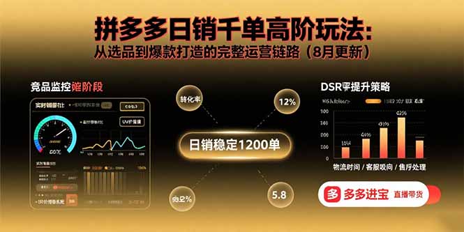 拼多多日销千单高阶玩法：从选品到爆款打造的完整运营链路(8月更新-鼎誉项目网