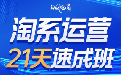 白凤电商·淘系运营21天速成班(更新8月)-鼎誉项目网