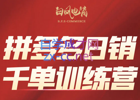 白凤电商·拼多多日销千单训练营(更新8月)-鼎誉项目网