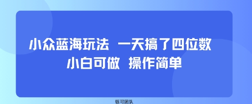 小众蓝海玩法 一天搞了四位数 小白可做 操作简单-鼎誉项目网