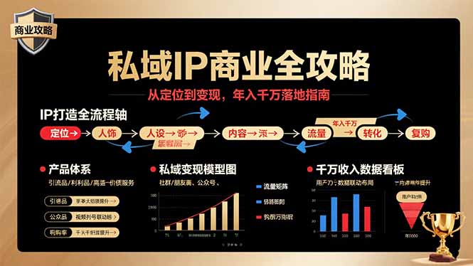 私域IP商业全攻略，从定位到变现，年入千万落地指南-鼎誉项目网