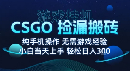 8月最新游戏搬砖，CSGO纯挂G，不需要玩游戏，实现真挂G，月入1W+【揭秘】-鼎誉项目网