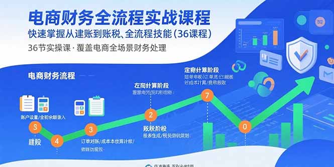 电商财务全流程实战课程：快速掌握从建账到报税的全流程技能(36节课-鼎誉项目网