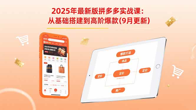 2025年最新版拼多多实战课：从基础搭建到高阶爆款(9月更新-鼎誉项目网