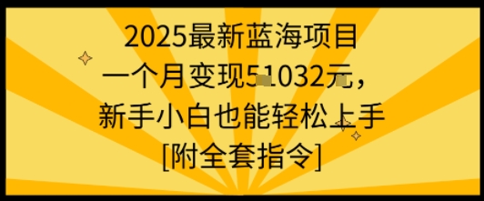2025最新蓝海项目一个月变现1w+新手小白也能轻松上手【附全套指令】-鼎誉项目网