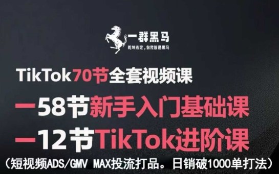 TikTok全套视频课，新手入门+进阶课，短视频ADS-GMV MAX投流打品，日销破1000单打法-鼎誉项目网