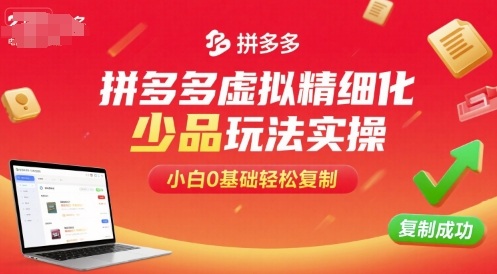 拼多多虚拟精细化少品玩法实操，小白0基础轻松复制-鼎誉项目网