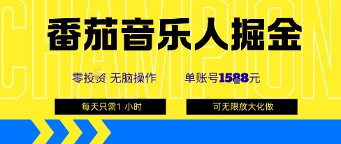 番茄音乐人掘金，单账号最高可撸1k+，可无限矩阵去做，零投入-鼎誉项目网