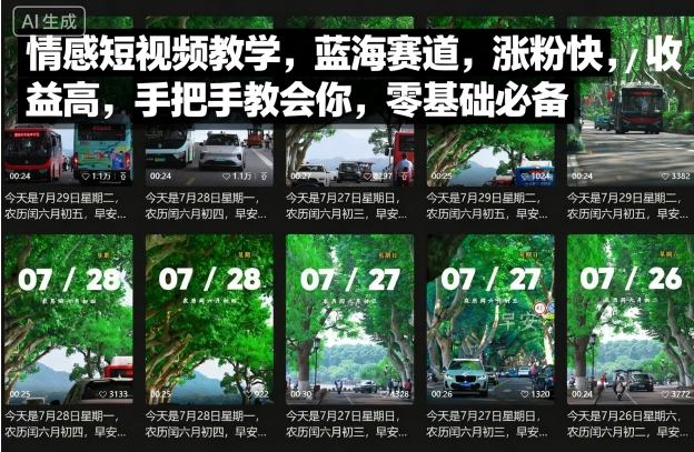 情感短视频教学，蓝海赛道，涨粉快，收益高，手把手教会你，零基础必备-鼎誉项目网