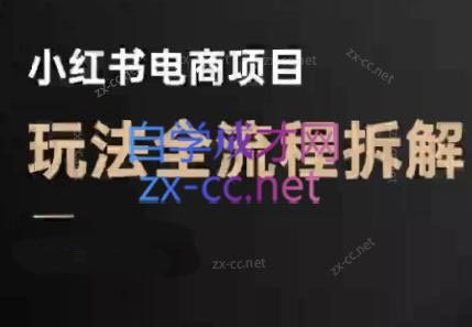 菲菲老师·小红书电商玩法(更新9月)-鼎誉项目网