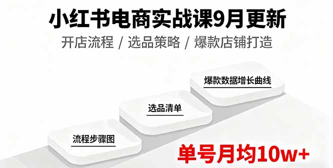 小红书电商实战课9月更新，开店流程/选品策略/爆款店铺打造，单号月均10w+-鼎誉项目网