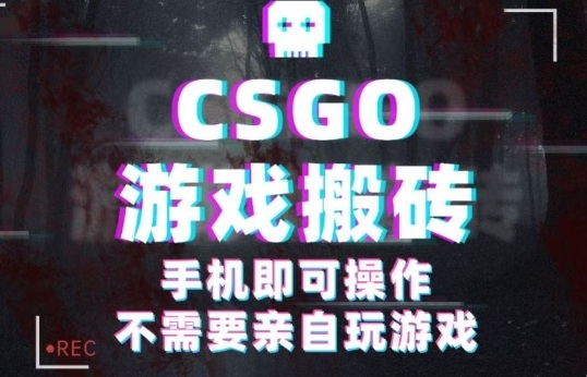 CSGO游戏挂G捡漏，单日扫货5张+，年底小高峰上车可吃肉，手机即可操作，兼职副业创业网创【揭秘】-鼎誉项目网