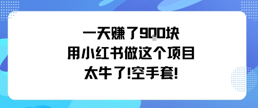 一天挣了9张用小红书做这个项目太牛了，空手套-鼎誉项目网