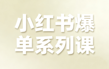 尼采老师·小红书爆单系列课-鼎誉项目网