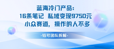 蓝海项目：16条笔记私域变现9750米小众赛道操作的人不多-鼎誉项目网