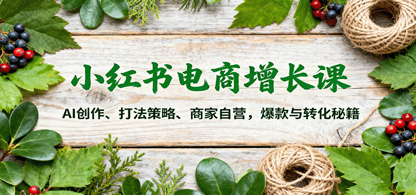 小红书电商增长课：AI创作、打法策略、商家自营，爆款与转化秘籍-鼎誉项目网