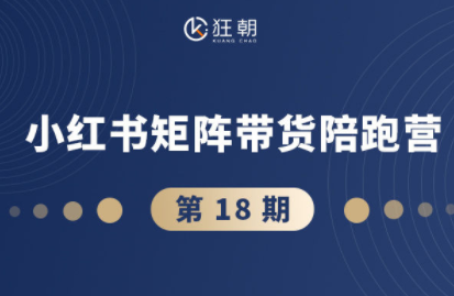 盗坤·抖音小红书视频号短视频带货与直播变现(11-18期)-鼎誉项目网