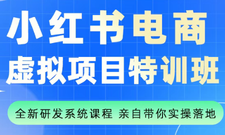 陆明明·小红书虚拟项目特训班(更新9月)-鼎誉项目网
