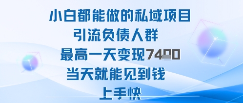 2025年小白都能做的私域项目引流负债人群最高一天变现1k+高变现难度低当天就能见到钱上手快-鼎誉项目网