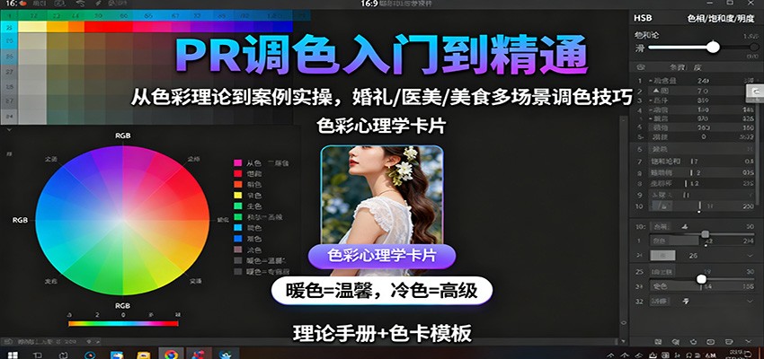 PR调色入门到精通：从色彩理论到案例实操，婚礼/医美/美食多场景调色技巧-鼎誉项目网