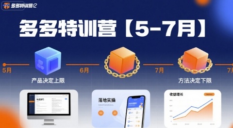 多多特训营，产品决定上限，方法决定下限，各种玩法技巧落地实操(更新)-鼎誉项目网