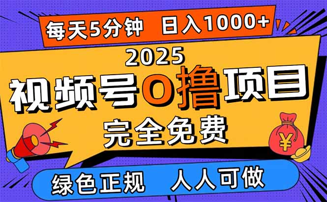 2025视频号0撸项目，5分钟一个号，日入1000+，人人可做-鼎誉项目网